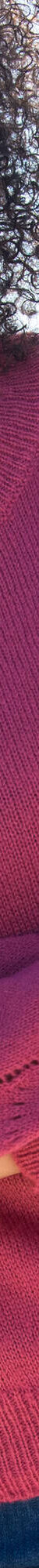 Pull col rond finitions écailles (bois de rose) Pull col rond finitions écailles (bois de rose)